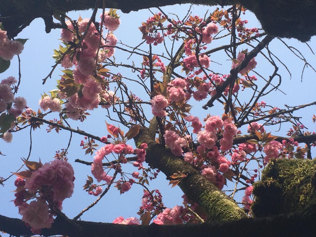 Il Cantelino Падуя Номер фото